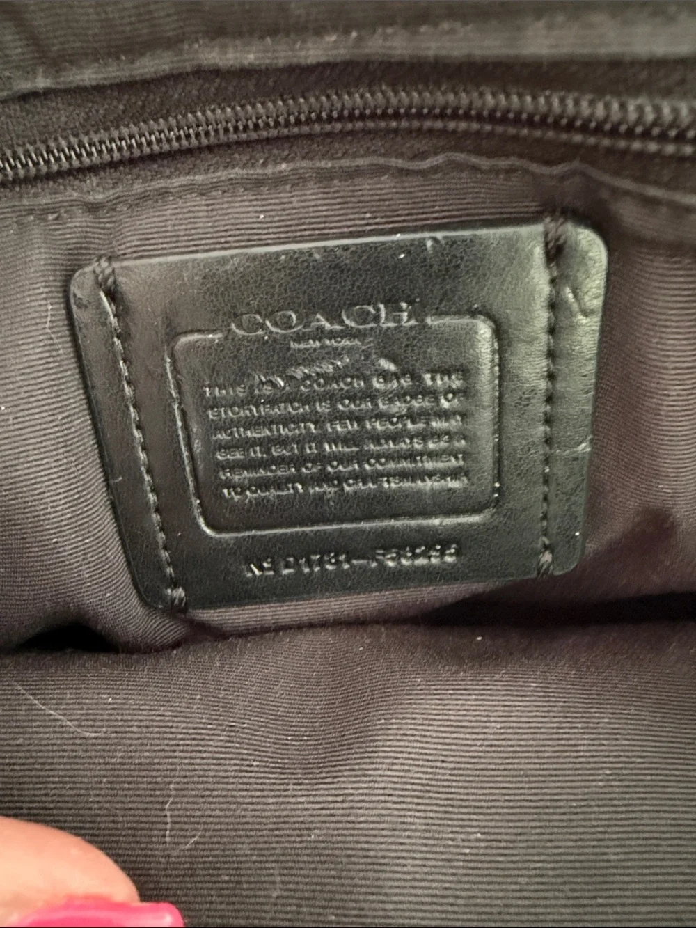 Coach mini sierra